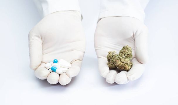 hands of a doctor with pharmaceutical industry pills, and marijuana in buds, choice of natural medicine, choice of pharmacological medicine, white background - Photo, image