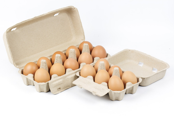 Paper Egg Tray - Foto, afbeelding
