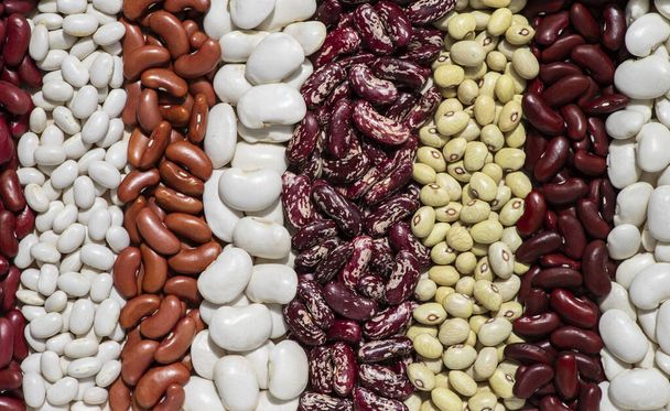 Contexto de oito variedades de feijões de diferentes cores e tamanhos. - Foto, Imagem