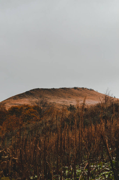 Patikointi Karpaattien vuoret Retro Grain Valokuvaus - Valokuva, kuva