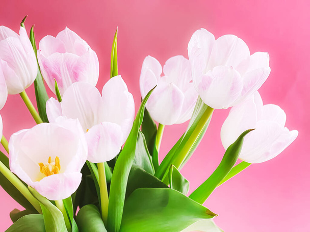 Bouquet de tulipes blanches sur fond rose, belles fleurs et concept de cadeau floral - Photo, image