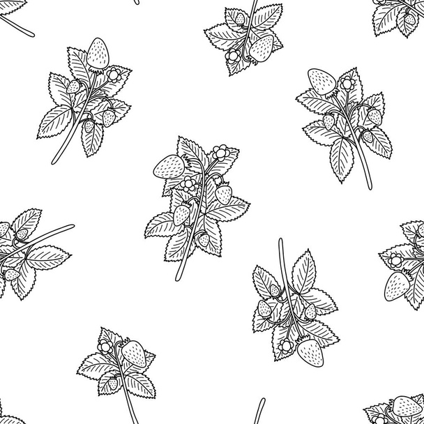 Doodle strawberry seamless pattern on white background. Sketched berries with leaves. Linear black and white wallpaper for fabric, cloth design, covers, wrapping paper and scrapbooking. - Vector, Imagen