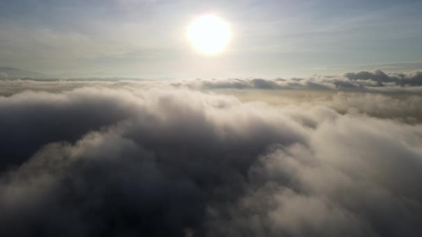 Lucht vliegen over de ochtend lage wolk naar de zon - Video