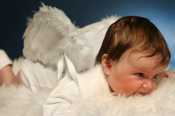 Little angel - Photo, Image