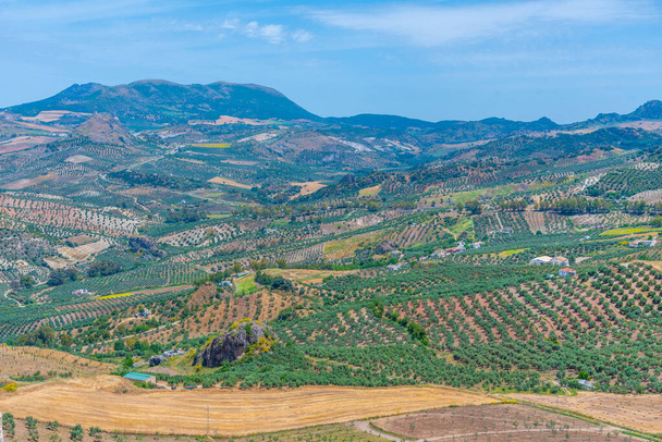 Countryside of Andalusia near Olvera in Spain - Foto, Imagem