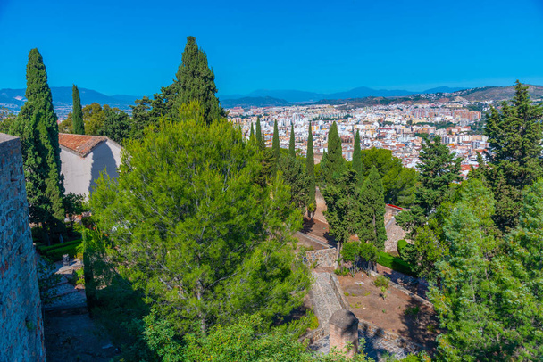 view of a courtyard of the gibralfaro castle in malaga with a tree - Fotó, kép