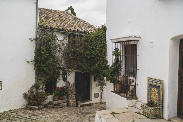 beautiful streets of the old town of the spanish village - 写真・画像