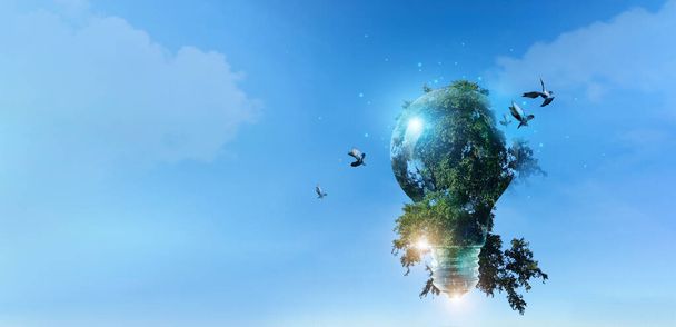Meio ambiente, Lâmpada com árvore verde e aves voar de liberdade, Desenvolvimento sustentável, ecologia e proteção do meio ambiente, Dia da Terra, Energia renovável e reciclagem, Economizar energia. - Foto, Imagem