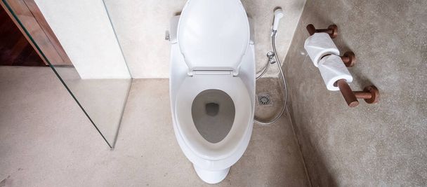 Nuevo inodoro de cerámica y papel higiénico. Limpieza, WC, Estilo de vida y concepto de higiene personal - Foto, imagen
