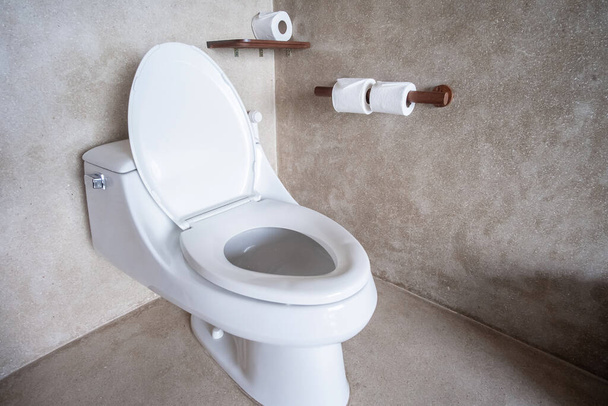 Nová keramická toaletní mísa a toaletní papír. Úklid, WC, koncepce životního stylu a osobní hygieny - Fotografie, Obrázek