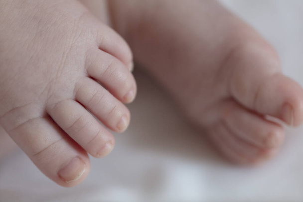close up of a baby's hand - Foto, afbeelding