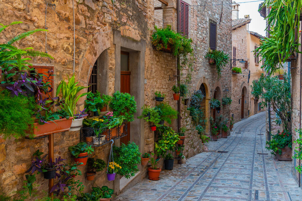 Narrow street in the old town of Spello in Italy. - Foto, Bild