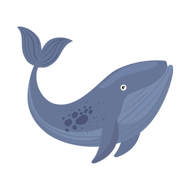 pez ballena grande nadando - Vector, imagen