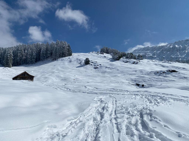 Wonderful winter hiking trails and traces on the slopes of the Alpstein mountain range and in the fresh alpine snow cover of the Swiss Alps, Nesslau - Obertoggenburg, Switzerland / Schweiz - Foto, Bild