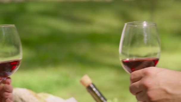 Primer plano de hombre y mujer tintineando con copas de vino, celebrando las vacaciones juntos en el verde parque de verano - Metraje, vídeo