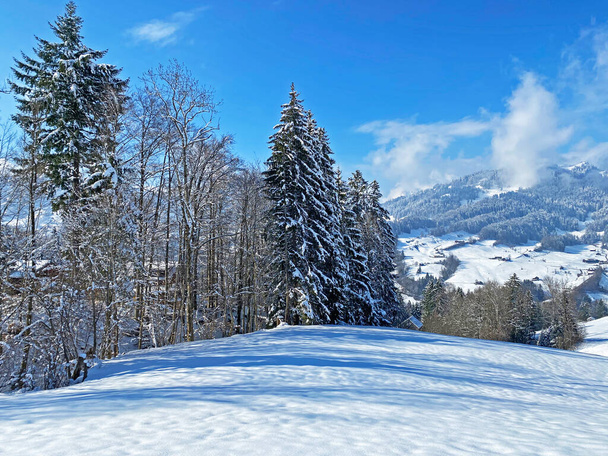 Az Obertoggenburgi Alpok völgyében és a Svájci Alpokban - Nesslau, Svájc / Schweiz - Fotó, kép