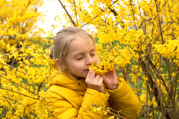 feliz niña de Ucrania en una chaqueta amarilla huele flores de forsythia amarillas en un wal - Foto, Imagen
