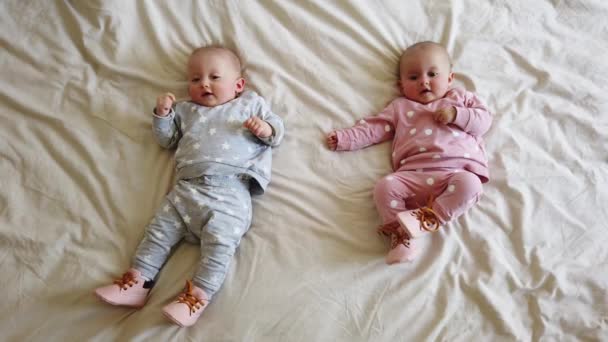 Entzückende sechs Monate alte Baby-Zwillinge zu Hause im Bett. Niedliche Kinder Zwillinge auf dem Bett. - Filmmaterial, Video