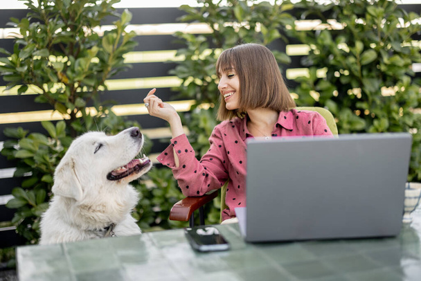 Woman feeds her cute adorable dog while working on laptop computer in the garden - Valokuva, kuva