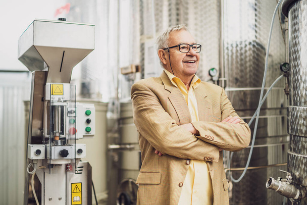 Ritratto di uomo anziano felice che possiede un'azienda vinicola. E 'accanto ai serbatoi per il vino. Concetto enologico industriale. - Foto, immagini