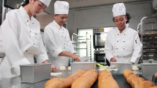 Multiracial professional gourmet team, group of chefs in white cook uniforms and aprons knead and roll pastry dough, prepare bread, and bakery food, baking in oven at stainless steel kitchen. - Footage, Video