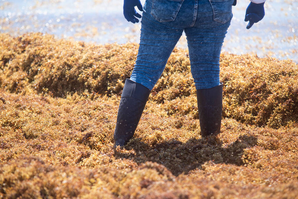Detail of the legs of a Mexican woman with boots and gloves immersed in sargassum on the shore of the Caribbean Sea - Photo, Image