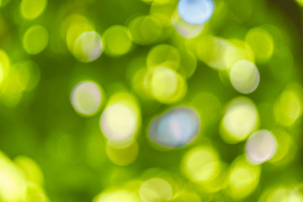 Abstract, nature bokeh background, green foliage of the forest. Green nature in blurry style for creative design. - Photo, Image