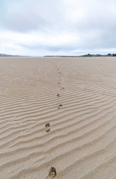 Сліди в хвилях піску в болотах низького моря
 - Фото, зображення