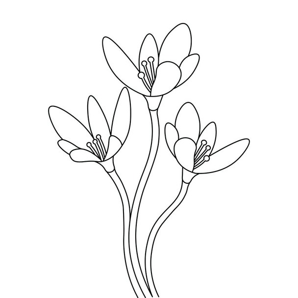 the coloring book or page for kids with blossom flowers and branch vector illustration - Vector, Image