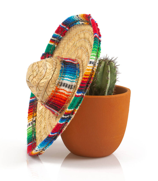 ceramic pot with cactus and miniature sombrero isolated on white background - Photo, Image