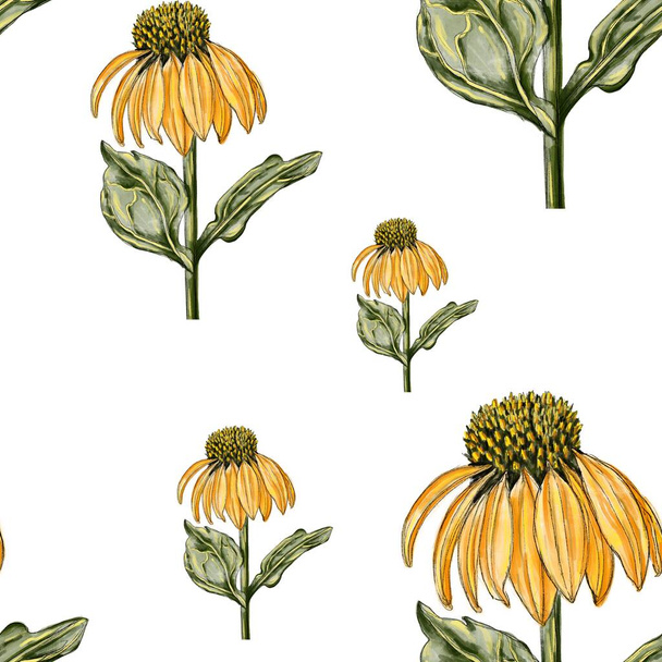 Seamless floral pattern with the image of sunflowers. Background with sunflowers. Print for textiles, wallpapers. Patter for wrapping paper, clothes, posters. - Foto, afbeelding