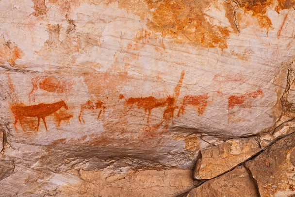 A arte rupestre San erodida nas Montanhas Cederberg, no Cabo Ocidental. África do Sul - Foto, Imagem