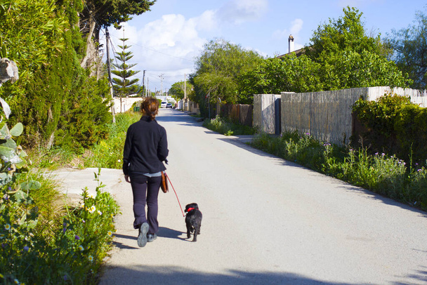 Promenade de femmes et de chiens dans le village ensoleillé - Photo, image