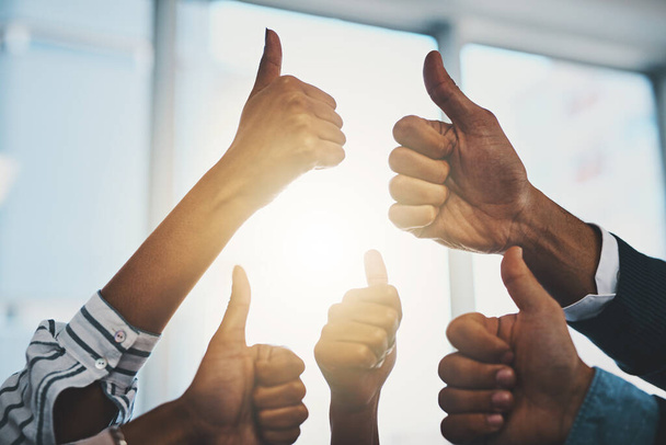 Keep up the excellent work. Closeup shot of a group of unrecognizable businesspeople showing thumbs up in an office. - 写真・画像