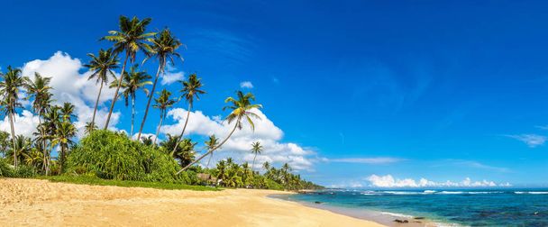 Panorama of tropical Beach in a sunny day in Sri Lanka - Foto, imagen