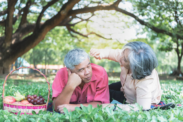 Asian elderly couple, attractive wife and husband lying and relaxing on the green lawn in garden, are smile and happy together, to relationship of retirement age and nature concept. - Photo, Image