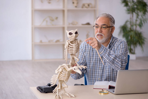 Alter männlicher Paläontologe untersucht uralte Tiere im Labor - Foto, Bild