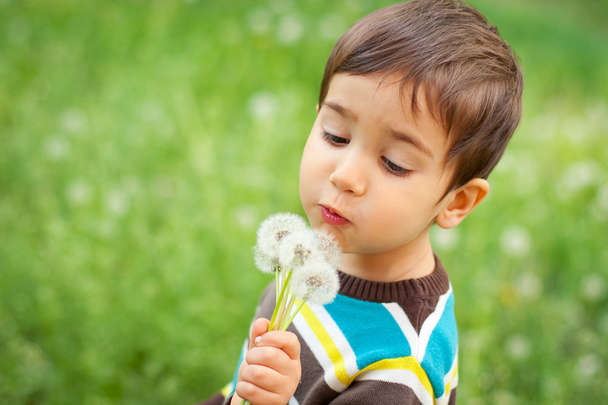 Kid blowing dandelions - Photo, Image