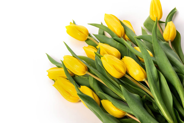 Bouquet of yellow tulips on a white background - Фото, зображення