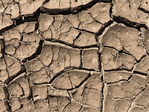 Cracked earth background. Dry ground surface with cracks. Mud cracks. - Vector, Image