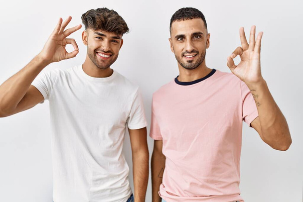 Νεαρό γκέι ζευγάρι στέκεται πάνω από απομονωμένη φόντο χαμογελώντας θετικά κάνει ok σημάδι με το χέρι και τα δάχτυλα. επιτυχής έκφραση.  - Φωτογραφία, εικόνα