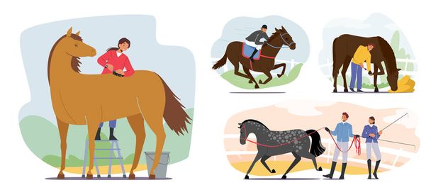 Horse Jockey, Cavaleiro Profissional em Uniforme, Mulher com Chicote na Mão Pronto para Competição de Corrida. Desporto Equestre - Vetor, Imagem