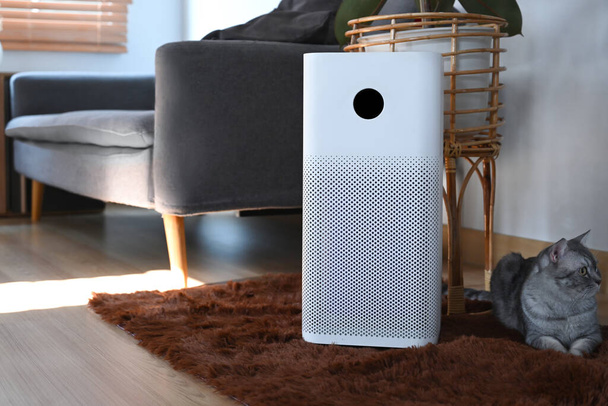 White Air purifier with digital monitor screen and lovely cat in living room. Air Pollution Concept. - Photo, image