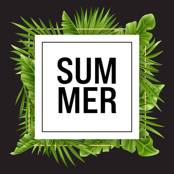 Tropical palm leaf isolated on white and black background. Realistic green summer party plant banner with square frame. Vector illustration - Vektor, Bild