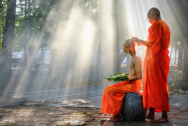 Thai boy or man having haircut and shaved with eyebrow by buddhist monk in the ceremony to become buddhist monk or novice - Foto, Imagem