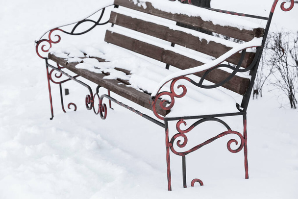 Banc forgé recouvert de neige dans le parc d'hiver - Photo, image