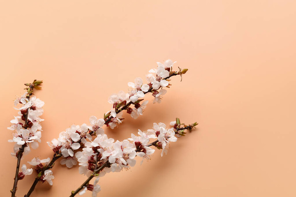 Hermosas ramas de primavera en flor sobre fondo beige - Foto, Imagen