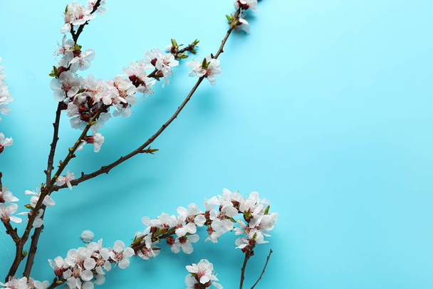 Прекрасні квітучі весняні гілки на синьому фоні
 - Фото, зображення