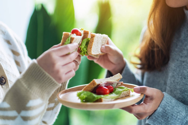 Két nő együtt tartja és eszi a teljes kiőrlésű búzás szendvicset. - Fotó, kép