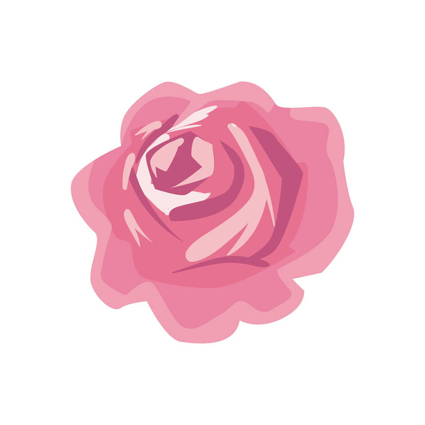 pink rose design - Vector, afbeelding